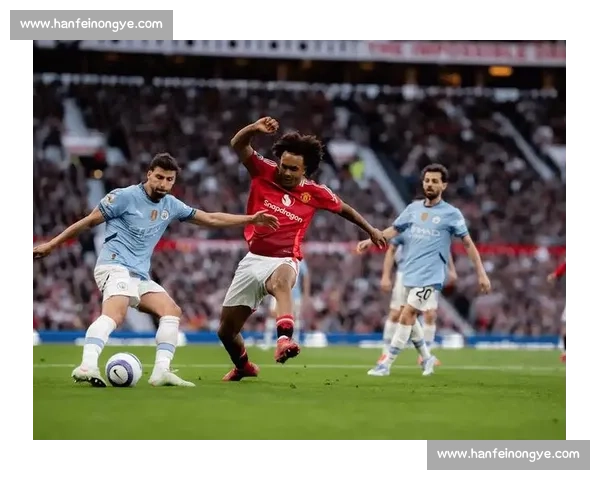 希勒前瞻英超:纽卡主场可期,曼联与布莱顿难分伯仲 希勒前瞻英超:纽卡主场可期,曼联与布莱顿难分伯仲