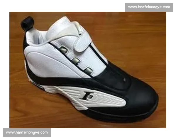 2003 锐步群星广告:艾佛森与五巨头的 “矢量” 传奇 2003 锐步群星广告:艾佛森与五巨头的 “矢量” 传奇