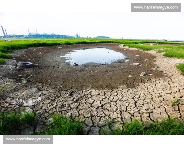 1 胜 6 负!河床跌至 43 年谷底 1 胜 6 负!河床跌至 43 年谷底